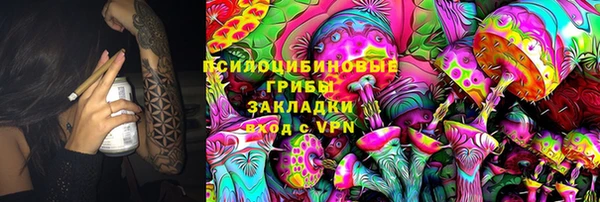 mdma Богородицк