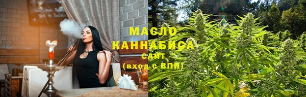 дмт Богородск