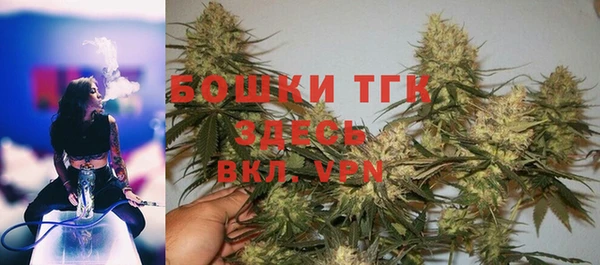 apvp Богданович