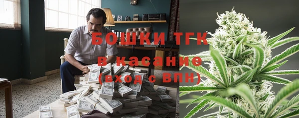 дмт Богородск