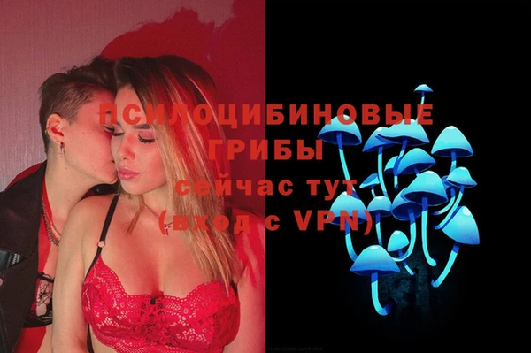 apvp Богданович
