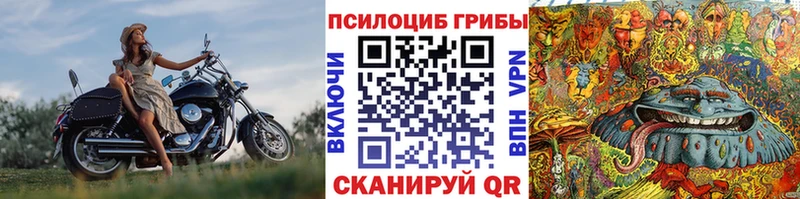 Псилоцибиновые грибы прущие грибы Эртиль